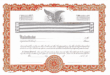 KG2 Stock Certificates, Orange Per Dozen Blank